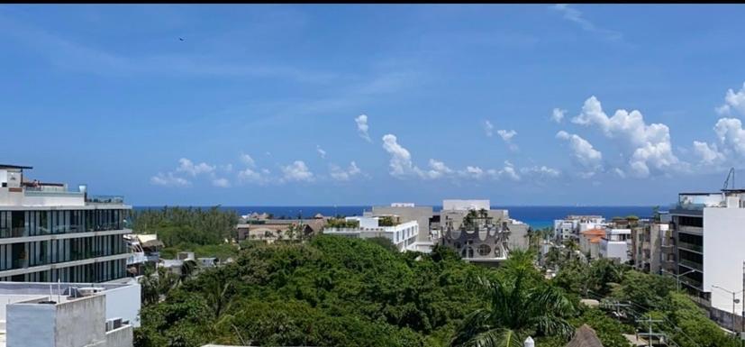 ホテル Ocean Front Boutique プレヤデルカーメン エクステリア 写真